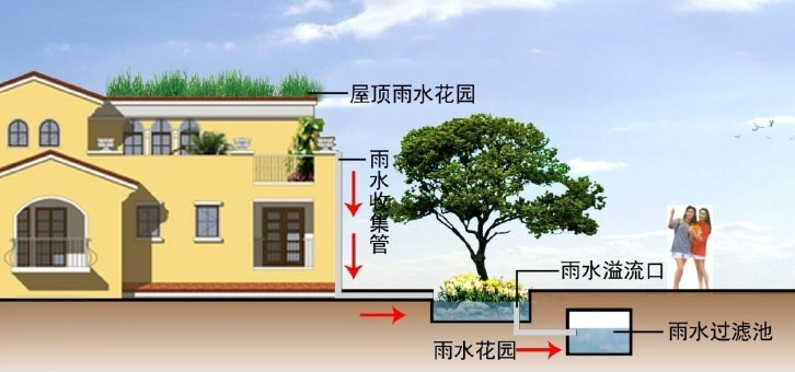 雨水收集系統(tǒng)的幾種類(lèi)型知道嗎？由哪些結(jié)構(gòu)組成？